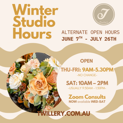 From June 7th to July 26th our Saturday Studio hours are from 10am to 2pm.